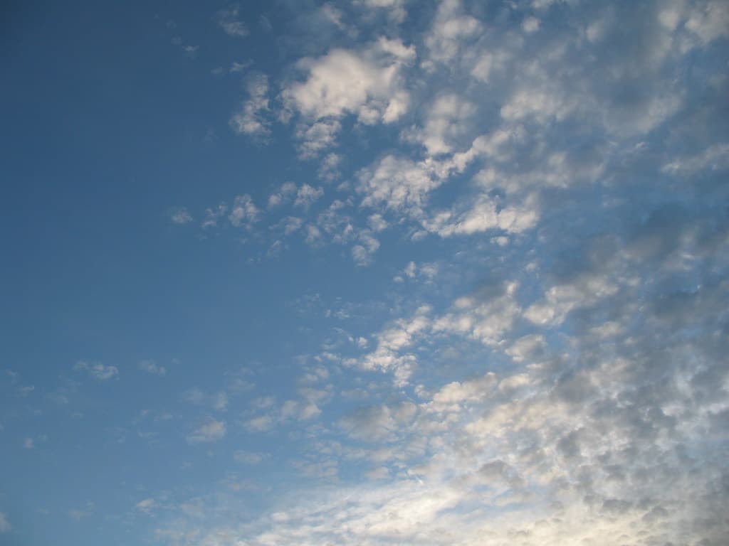 Clackmannanshire West, Clackmannanshire