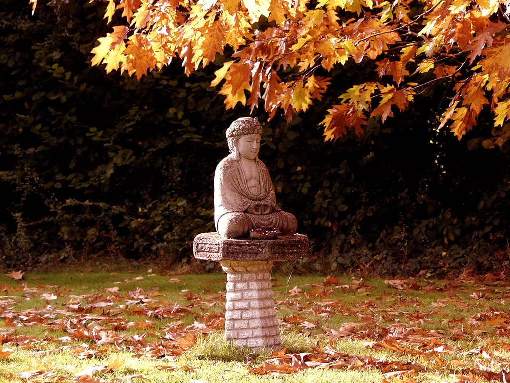 Berkhamsted West, Dacorum