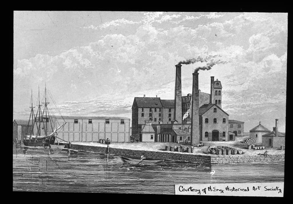 Petersfield, Cambridge