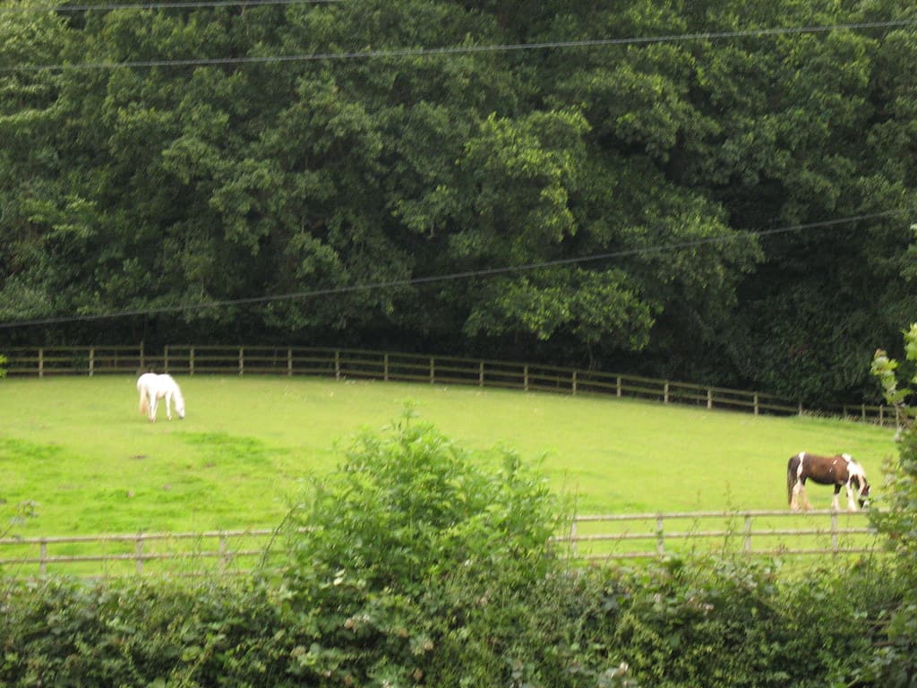 Neston, Cheshire West and Chester