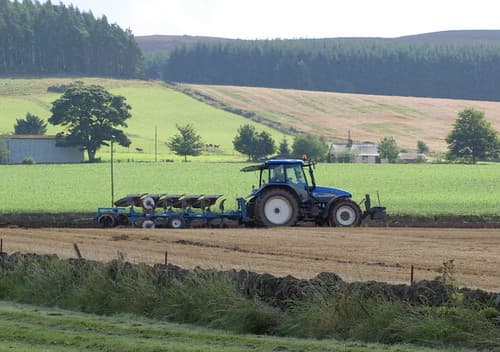 Hillside, Angus
