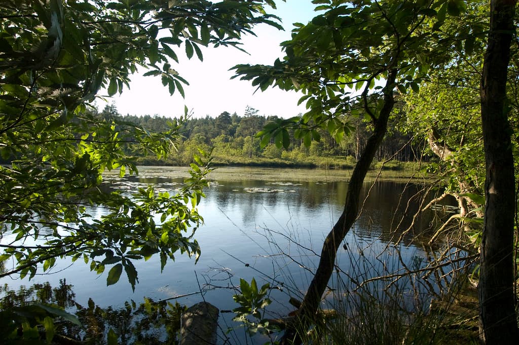 Easthampstead, Bracknell Forest