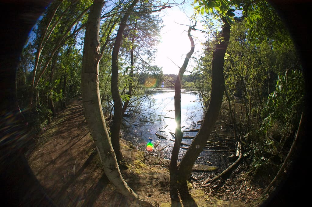 Great Hollands, Bracknell Forest