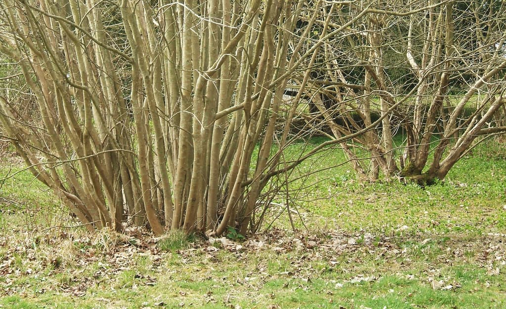 Moulsecoomb, Brighton and Hove
