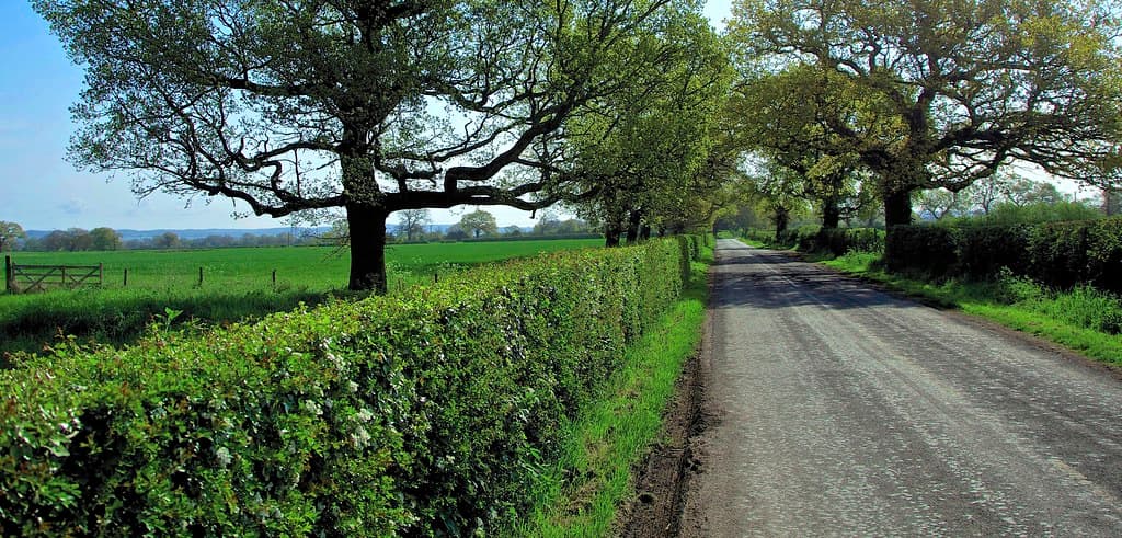 Chelford, Cheshire East