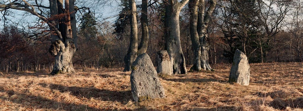 Deer, Aberdeenshire