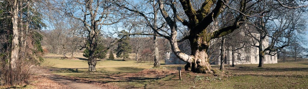 Rhynie, Aberdeenshire