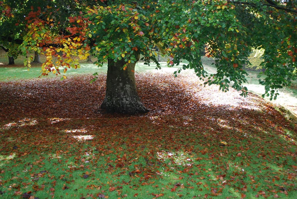 Ardoe, Aberdeenshire