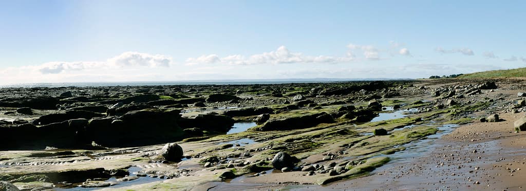 East Haven, Angus