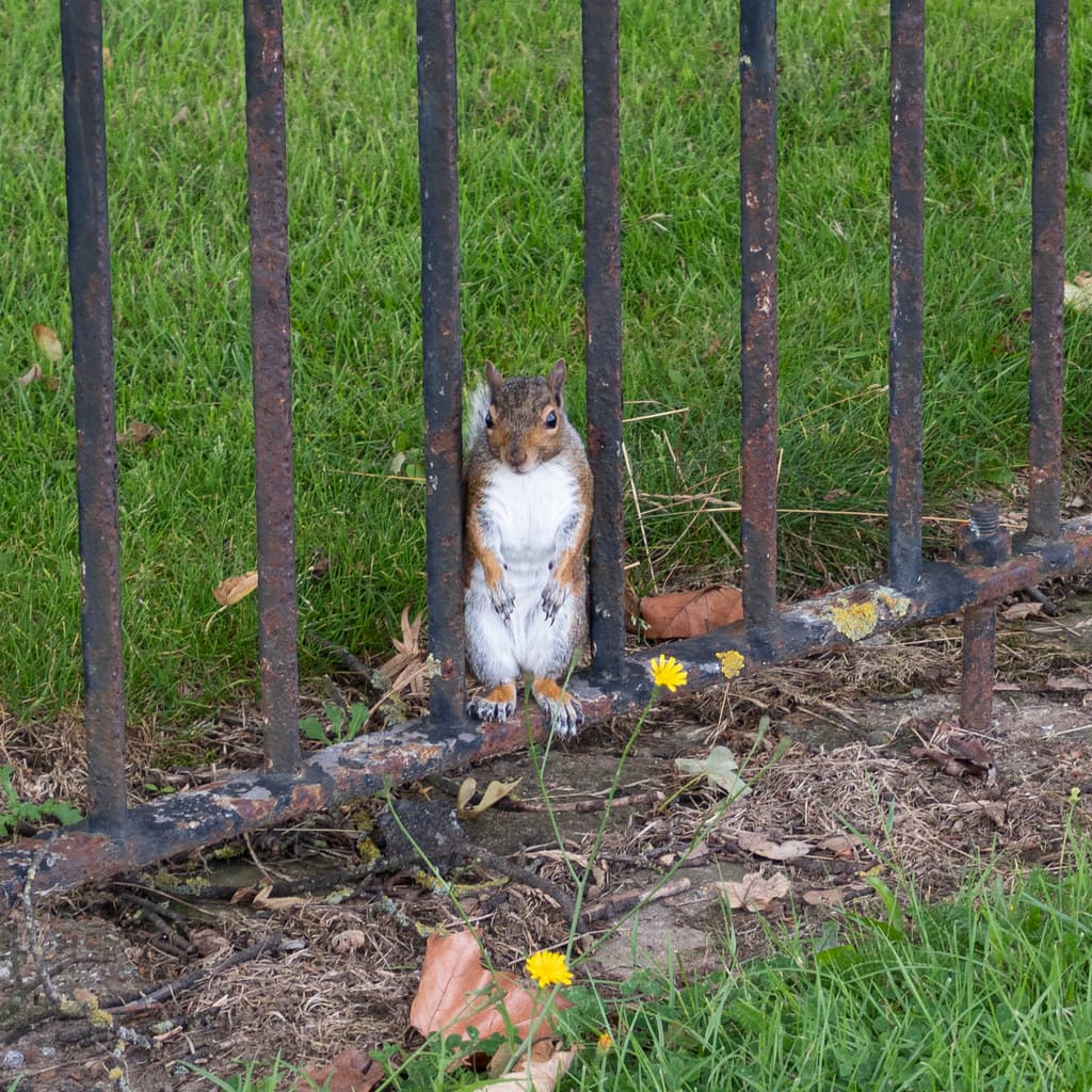 Parsloes, Barking and Dagenham
