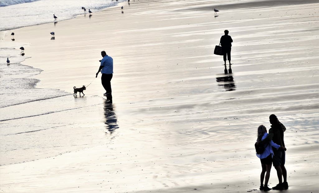 Boscombe East & Pokesdown, Bournemouth, Christchurch and Poole