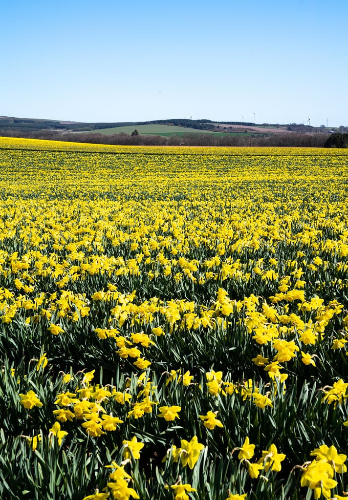 Fordoun, Aberdeenshire