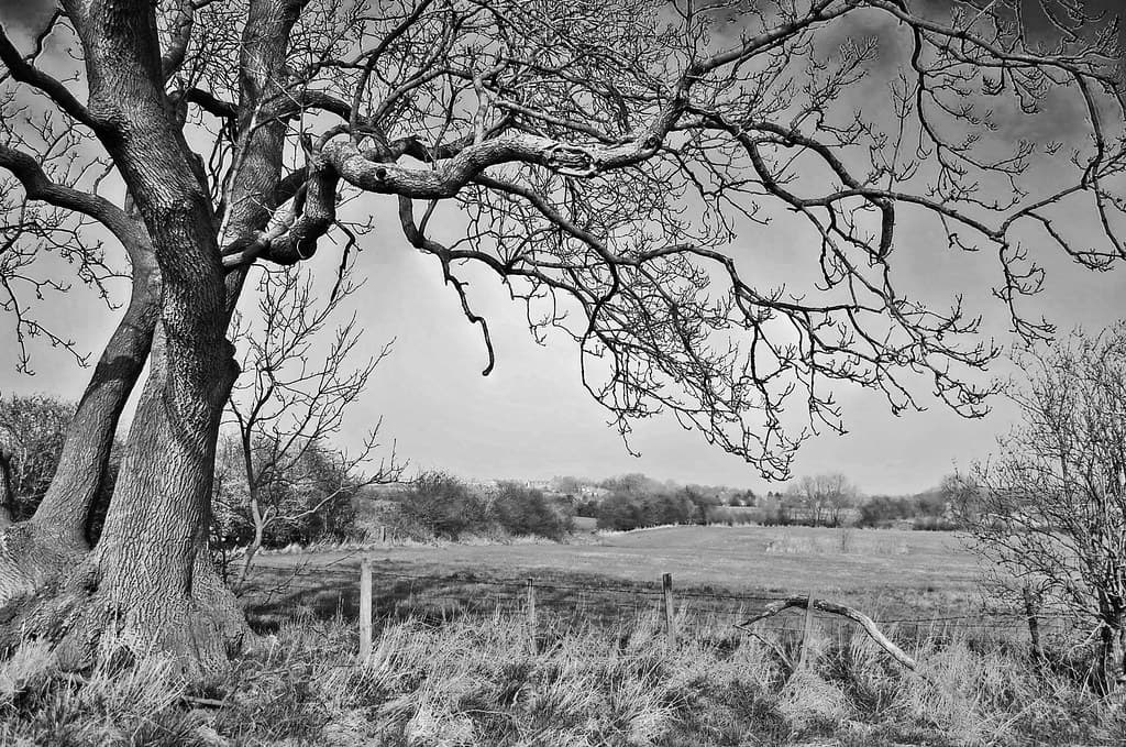 Swanwick, Amber Valley
