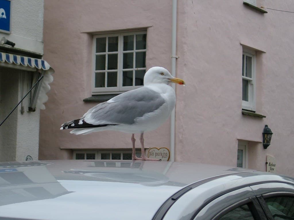 St Ives, Cornwall