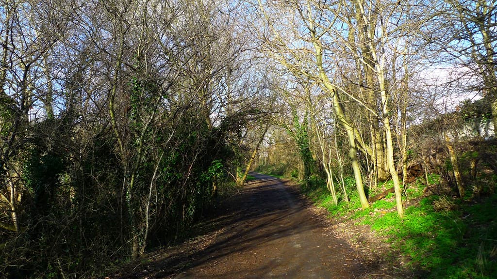 Brunswick Park, Barnet