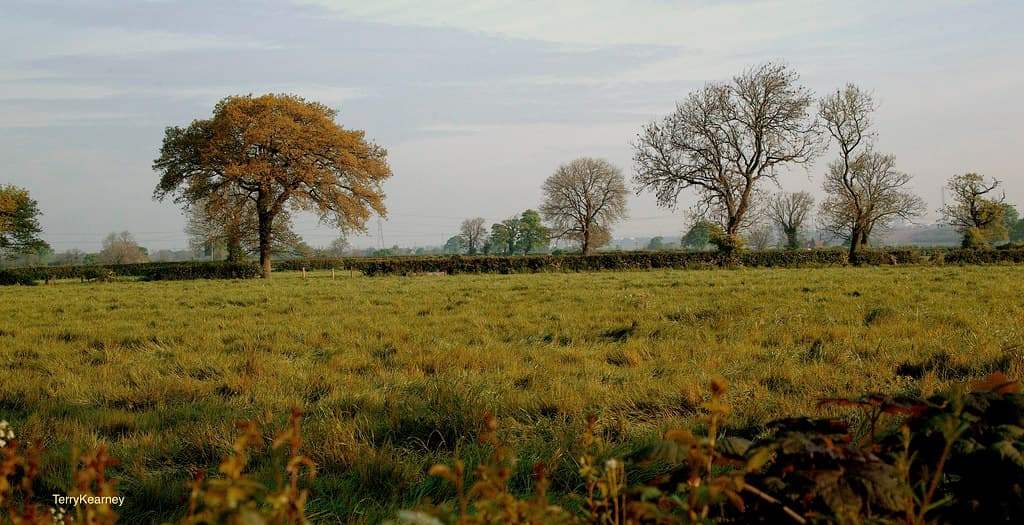 Bunbury, Cheshire East