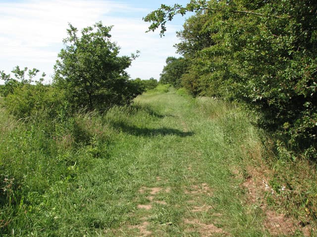 Nar Valley, Breckland