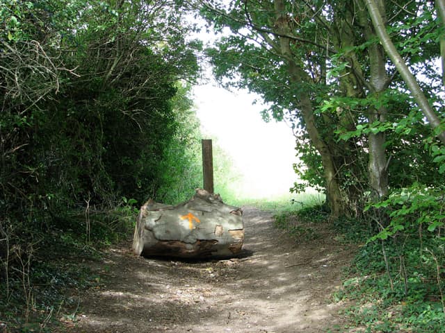 Necton, Breckland