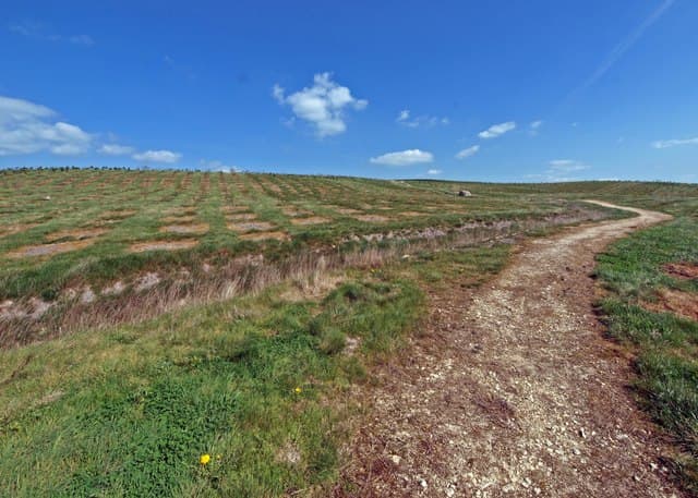 Grimethorpe, Barnsley
