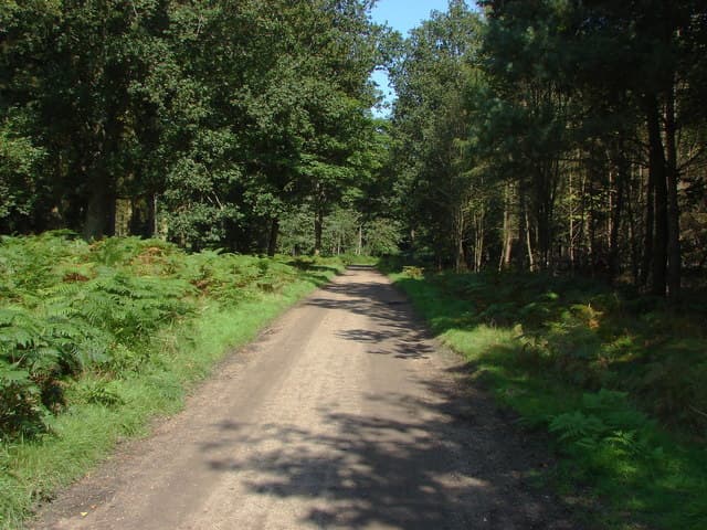 Jennett's Park, Bracknell Forest
