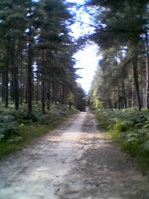 Sandhurst, Bracknell Forest