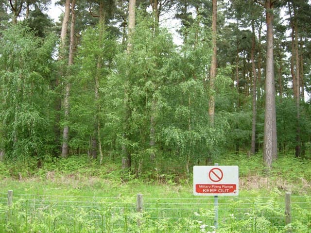 Old Buckenham, Breckland