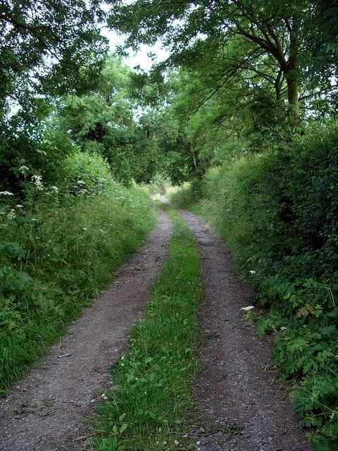 Woodlinkin, Amber Valley