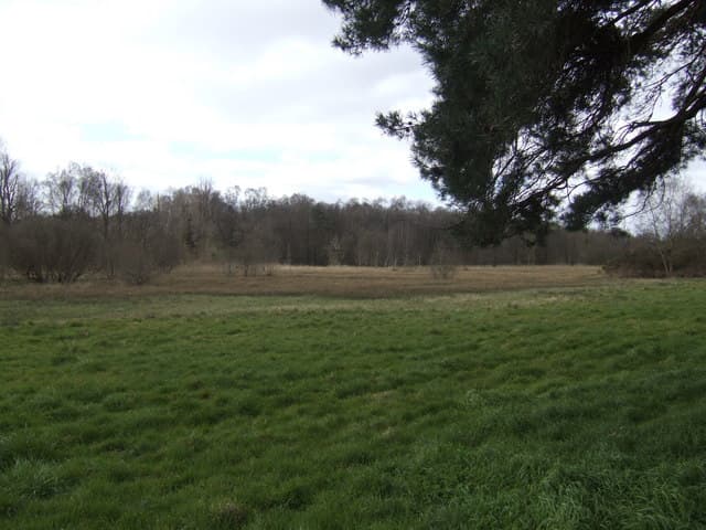 Mattishall, Breckland