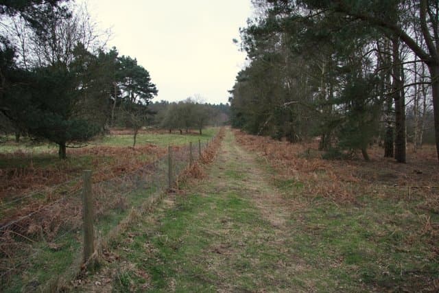 New Buckenham, Breckland