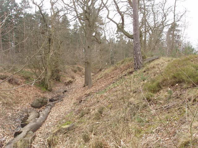Old Bracknell, Bracknell Forest