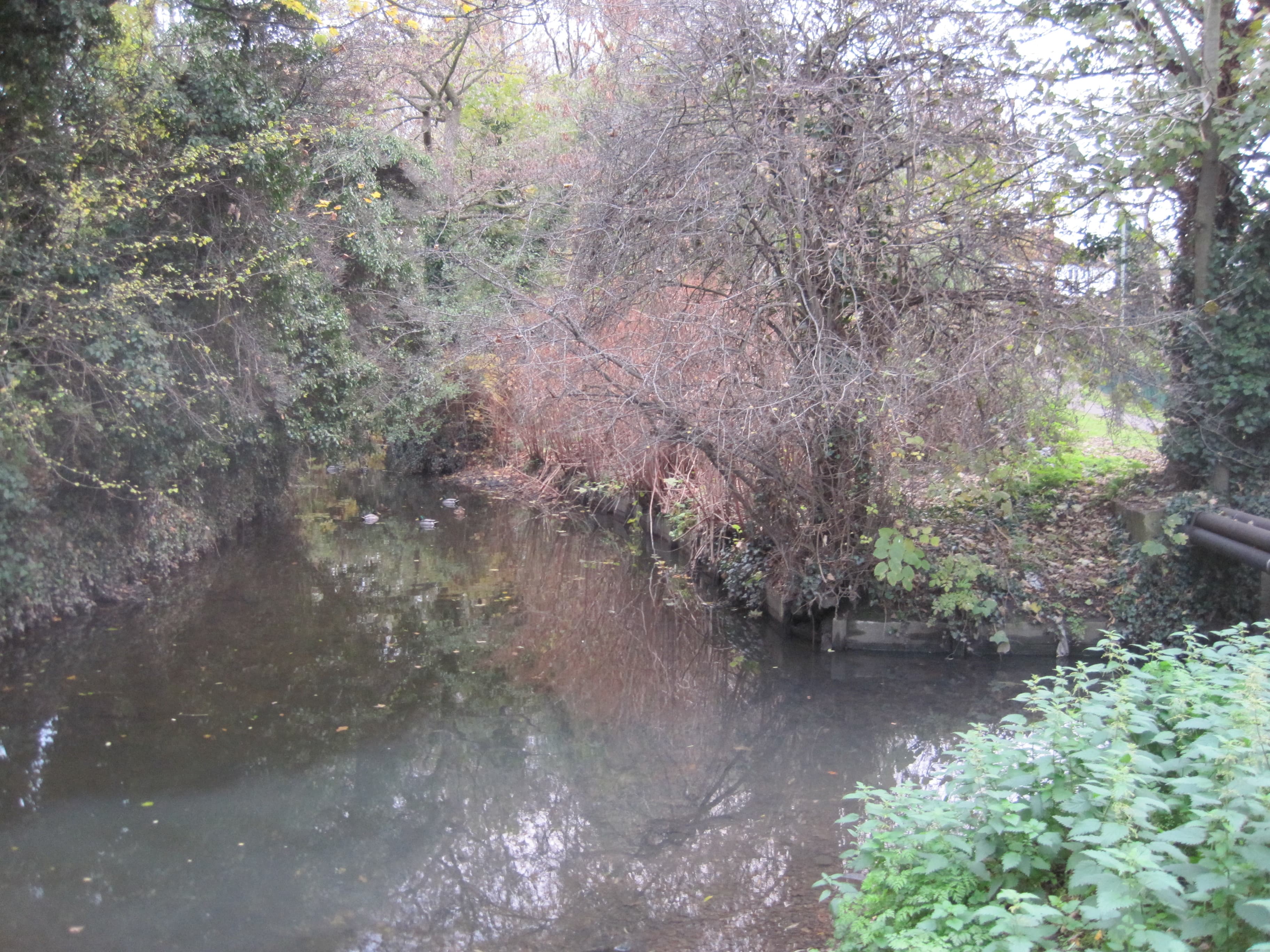 Temple Fortune, Barnet