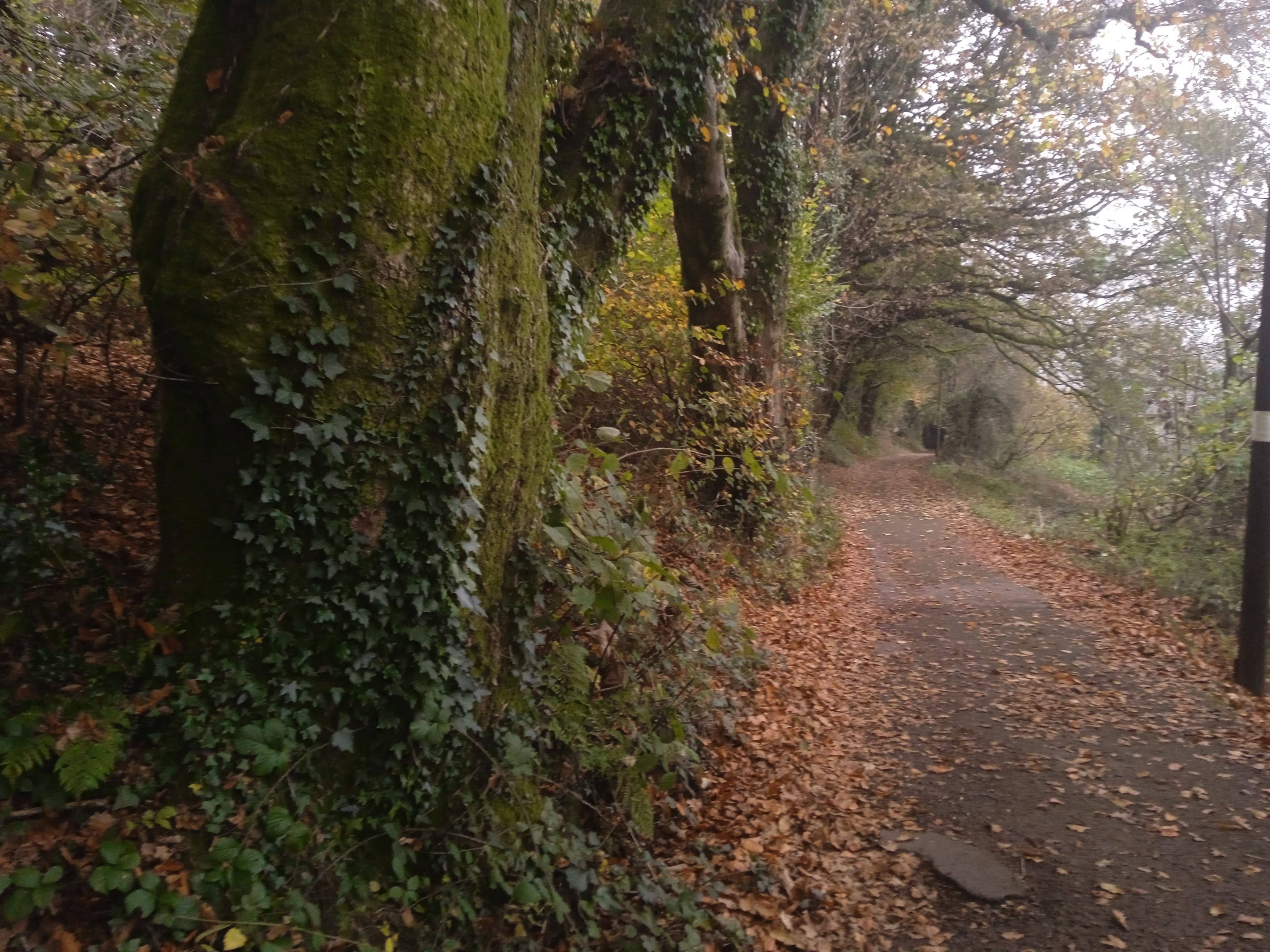 Crosskeys, Torfaen