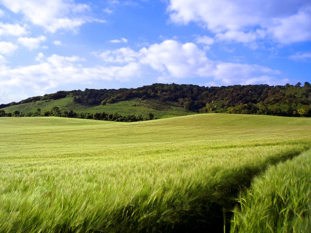 Aylesham, Dover