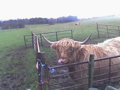 Oldmeldrum, Aberdeenshire