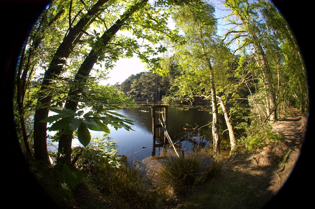 Harmans Water, Bracknell Forest