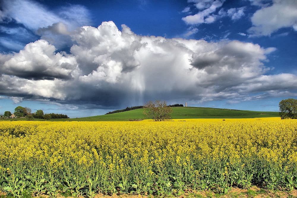 Tarves, Aberdeenshire