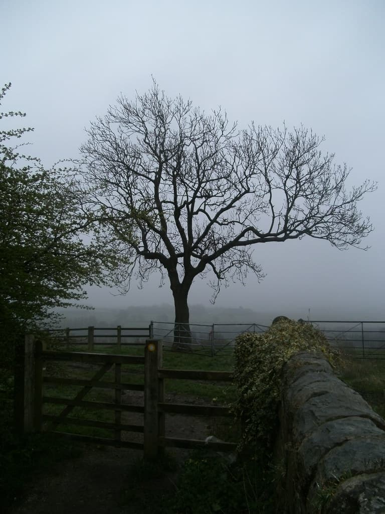 Openwoodgate, Amber Valley