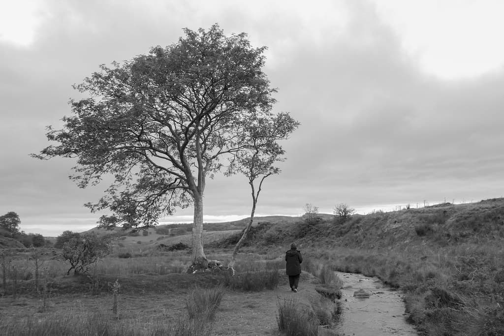 Beulah and Llangoedmor, Ceredigion