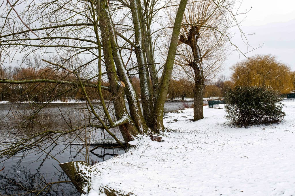 Mayesbrook, Barking and Dagenham