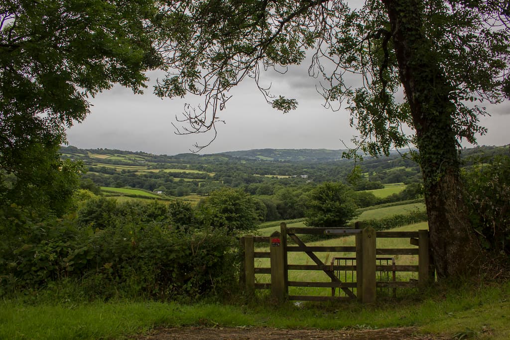 Llangyndeyrn, Carmarthenshire