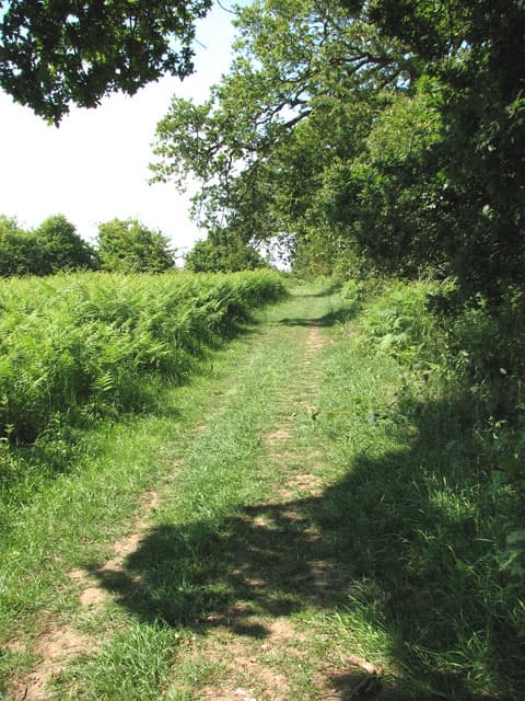 Rockland St Peter, Breckland