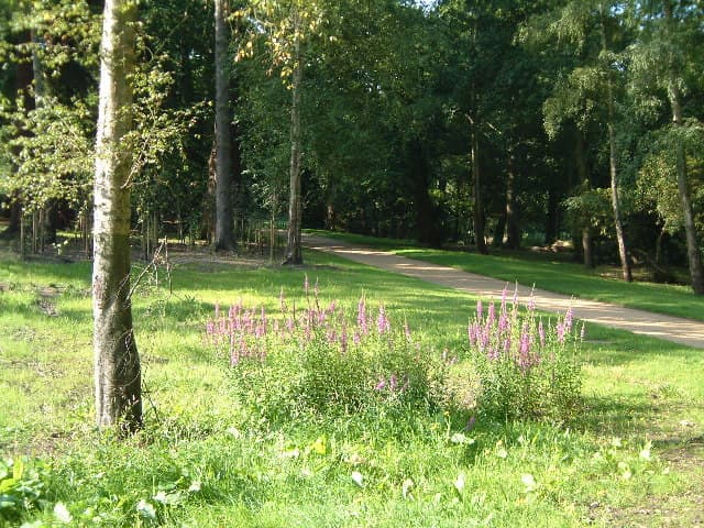 Owlsmoor, Bracknell Forest
