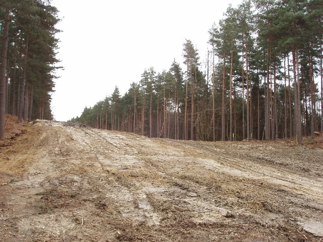 Owlsmoor & College Town, Bracknell Forest
