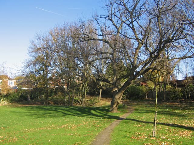 Hoddesdon North, Broxbourne