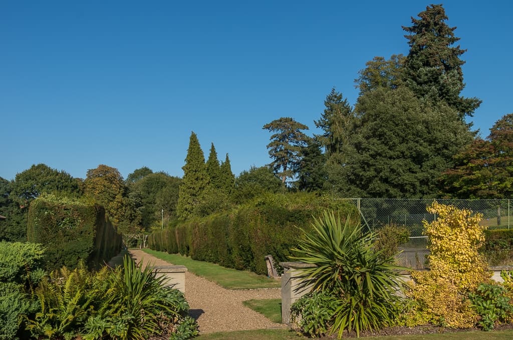 Charlwood, Mole Valley
