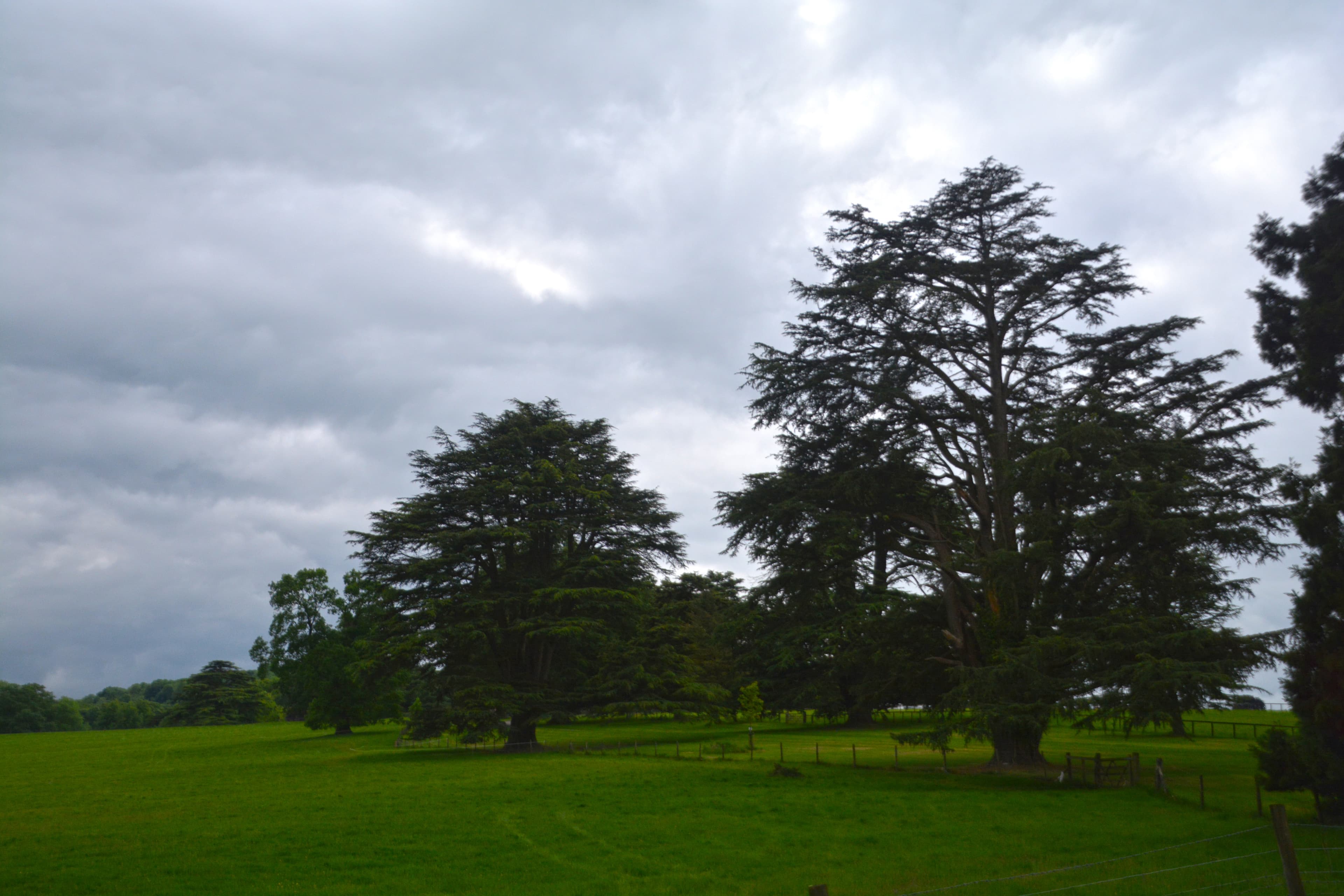 Kingsclere, Basingstoke and Deane