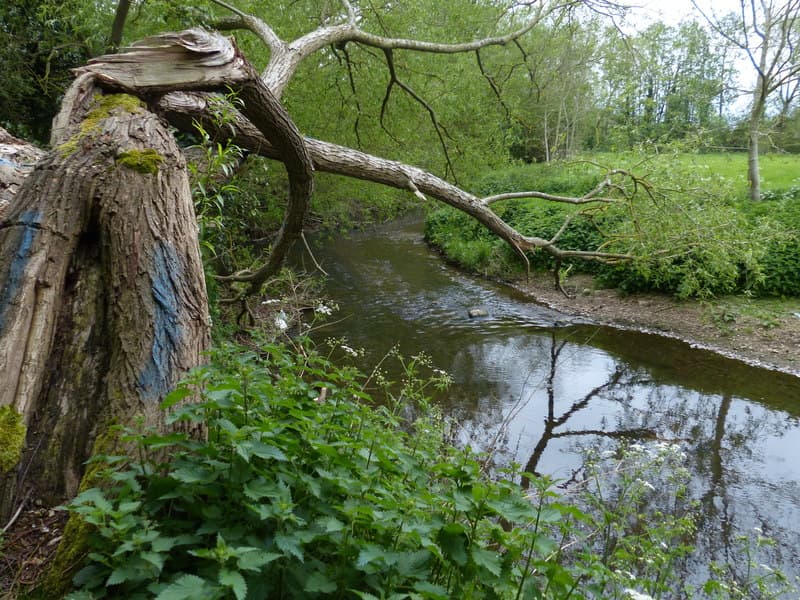 Aston Flamville, Blaby