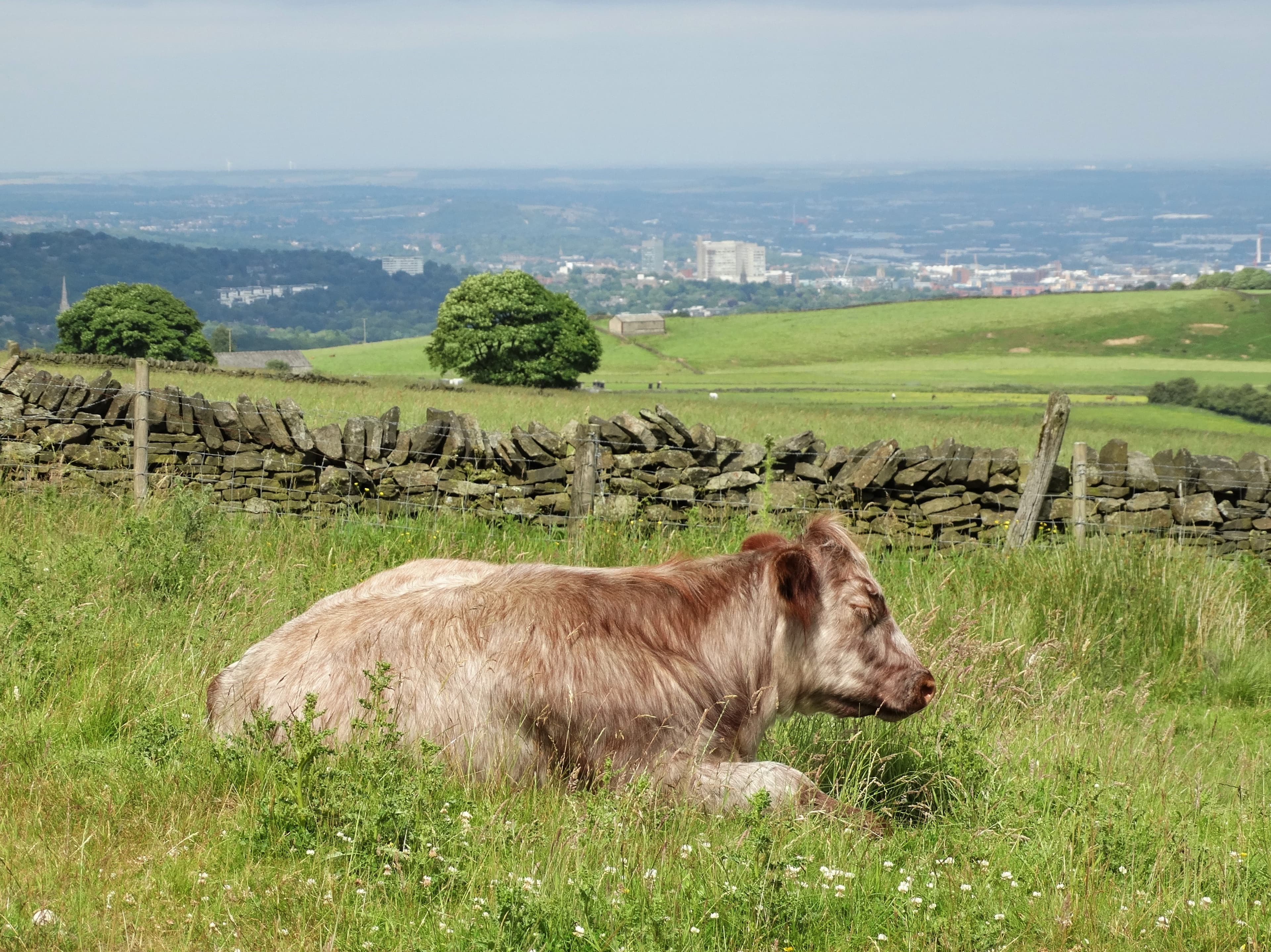 Totley, Sheffield