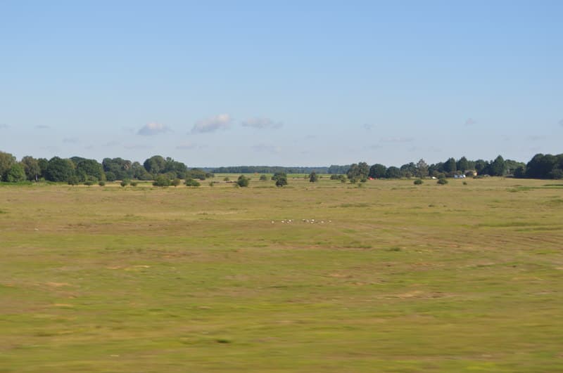 All Saints & Wayland, Breckland