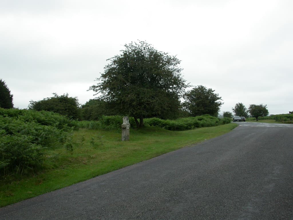 Tavistock North, West Devon